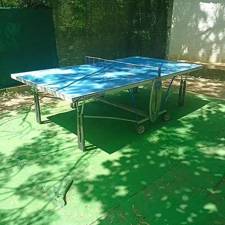Camping Mobil